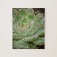 Succulent, Hen and Chicks Jigsaw Puzzle