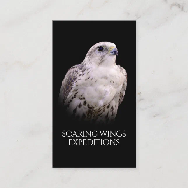 Vignetted Portrait of an Inquisitive Saker Falcon Business Card