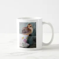 Adorable Chick On a Cup