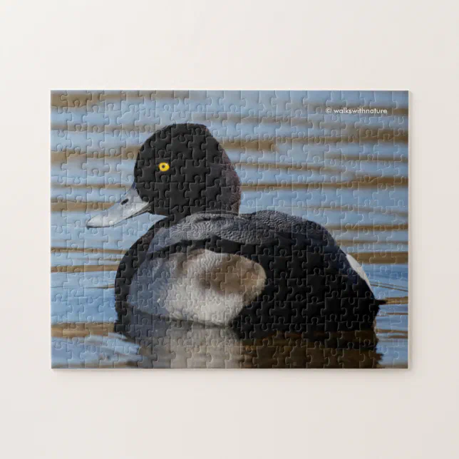 Profile of a Lesser Scaup Jigsaw Puzzle