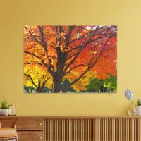 Autumn Leaves of Yellow and Orange Photo Canvas Print