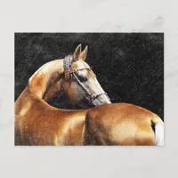 Palomino Akhal-teke stallion Postcard