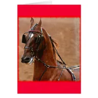 Pleasure Harness Saddlebred Digital Art Red Border