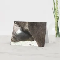 A Nursing Mini Filly Card