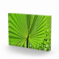 Photo Block - Palm Frond