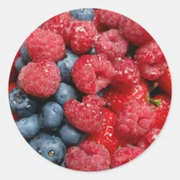 Berry Bonanza Classic Round Sticker