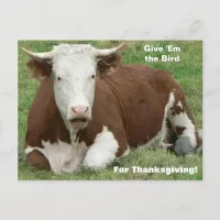 Give 'Em the Bird For Thanksgiving Holiday Postcard