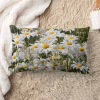 A Field of Oxeye Daisies Lumbar Pillow