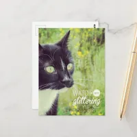 Watch with Glittering Eyes Cat Postcard