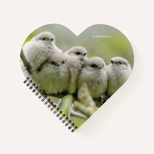 Heartwarming Cute Bushtits Songbirds Family Photo Notebook