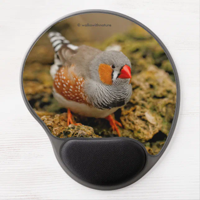 Zebra Finch on the Rocks Gel Mouse Pad