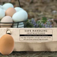 Modern FDA Egg Carton Safe Handling Instructions Rubber Stamp
