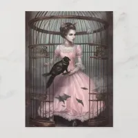 Lady in the Bird Cage With Weird Bird Postcard