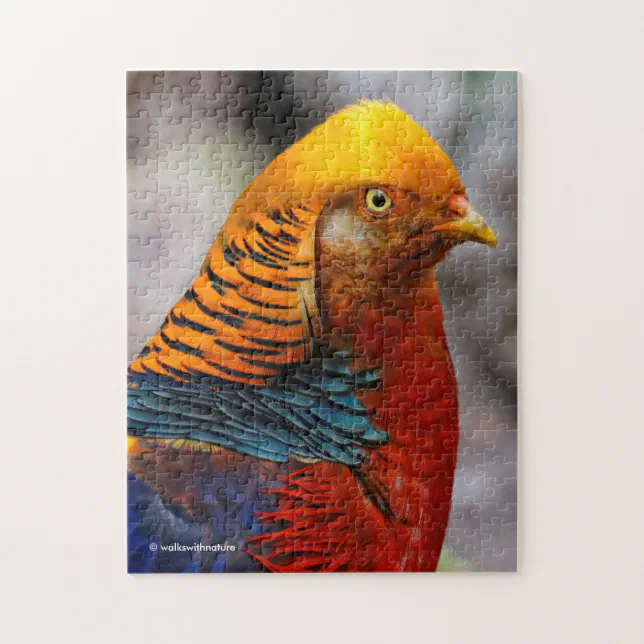 Profile of a Red Golden Pheasant Jigsaw Puzzle