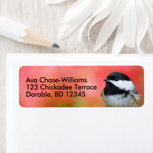 Cute Black-Capped Chickadee Songbird on Apple Tree Label