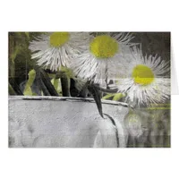 Pretty Pink Daisy-Like Flowers in a Teacup