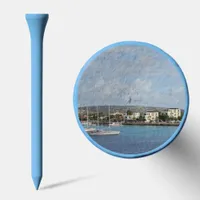 Bonaire Kralendijk Harbor Sailing Boats Golf Tees