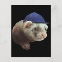 Ferret Wearing Hat Postcard