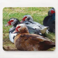 Scovies Mouse Pad