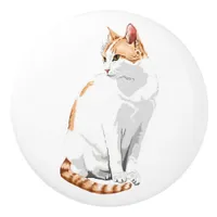 Orange and White Cat  Ceramic Knob