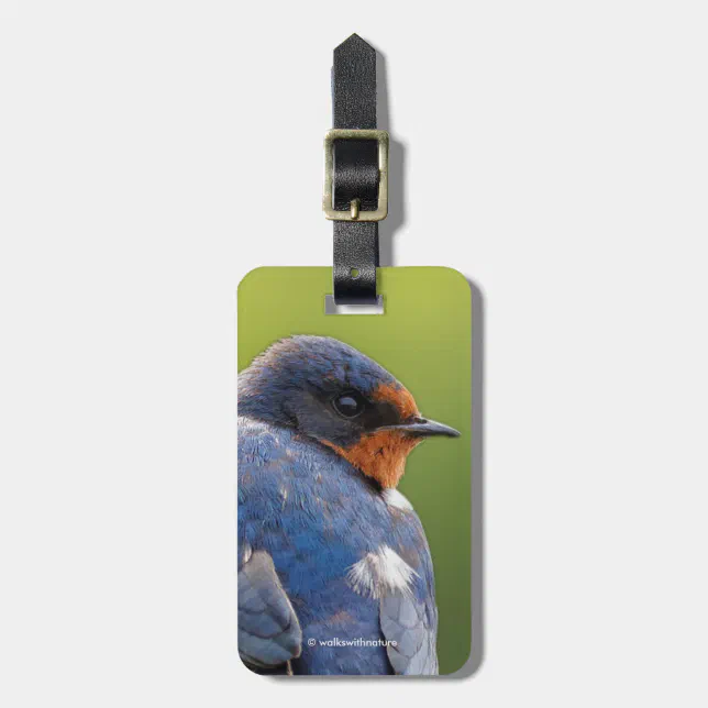 Beautiful Barn Swallow Luggage Tag