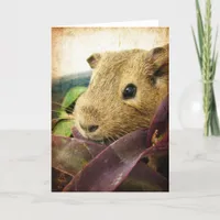 Mouse the Guinea Pig Card