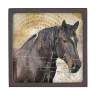 The Gentle One, A draft horse Jewelry Box