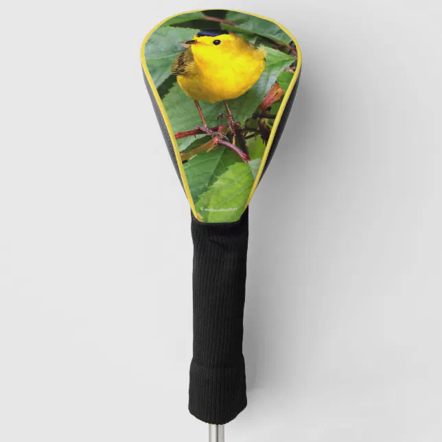 Cute Wilson's Warbler Songbird in the Cherry Tree Golf Head Cover