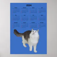 Calendar - Curious Cat 2024 Poster