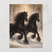 Beautiful Black Horses Winter Forest  Postcard