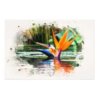 *~*  Water AP10 Flower Bird of Paradise QR Pond Photo Print