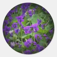 WI wood violets spotlight stickers