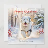 Old English Sheepdog Dog In Snow Merry Christmas Holiday Card