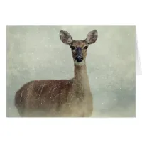 Seasons Greetings Deer Doe in Snow Season Card