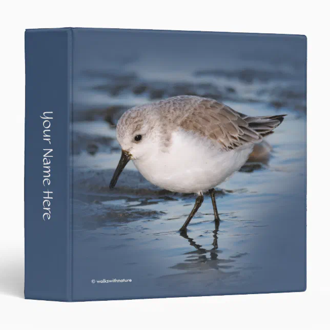 Cute Sanderling Sandpiper Wanders Winter Shores Binder