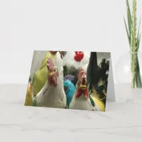 Vintage Chickens all occasions Card