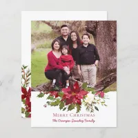 Budget Elegant Christmas Poinsettia Holiday Photo