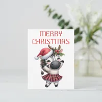 Dancing Zebra Foal - Christmas Card