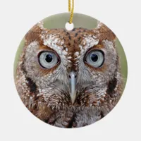 Eastern Screech Owl Photograph Ornament