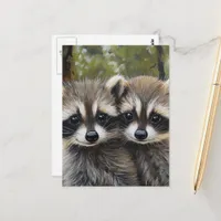 Adorable Baby Raccoons Postcard