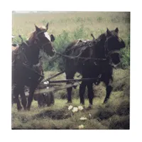 Horse Drawn Equipment Farming Making Hay Ceramic Tile