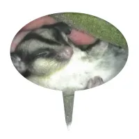 Sugar Glider Sleeping in Blanket Cake Topper