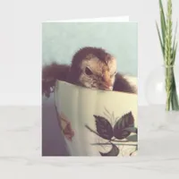 Chick in a Vintage Teacup Easter Holiday Card