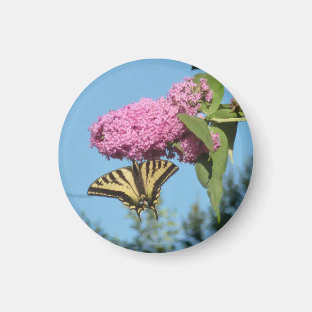 Yellow Tiger Swallowtail on Pink Butterfly Bush Fl Magnet