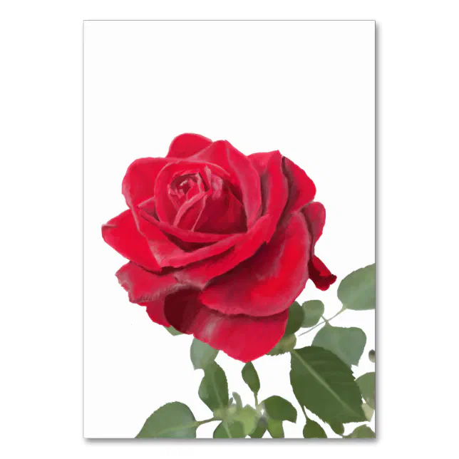 Red Rose Invitation - symbol of love Table Number