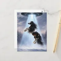 UFO picking up a Spotted Gypsy Vanner Horse Postcard