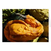 Gourd That Looks Like A Duck