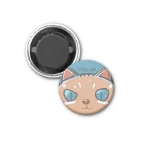 Kitty Cat Faced Magnet