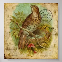 Vintage Thrush Poster
