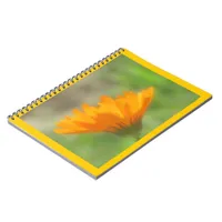 Notebook - Calendula